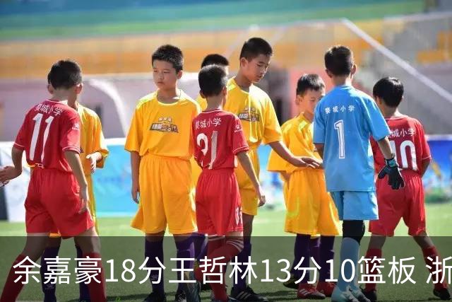 余嘉豪18分王哲林13分10篮板 浙江力克上海